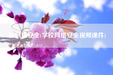 校网络安全(学校网络安全视频课件)