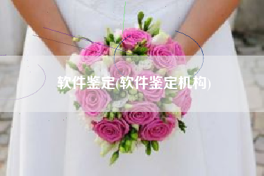 软件鉴定(软件鉴定机构)