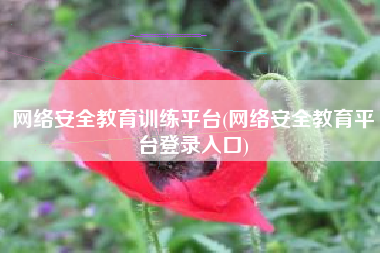 网络安全教育训练平台(网络安全教育平台登录入口)