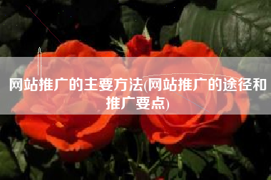 网站推广的主要方法(网站推广的途径和推广要点)