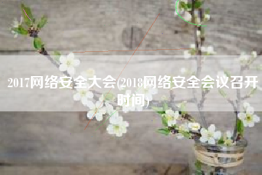 2017网络安全大会(2018网络安全会议召开时间)
