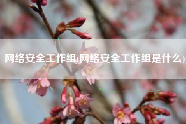 网络安全工作组(网络安全工作组是什么)
