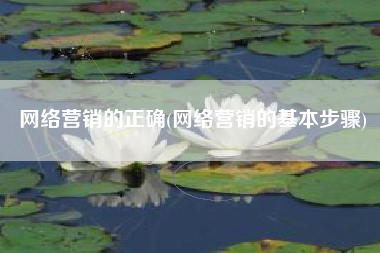 网络营销的正确(网络营销的基本步骤)