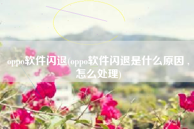 oppo软件闪退(oppo软件闪退是什么原因 ,怎么处理)