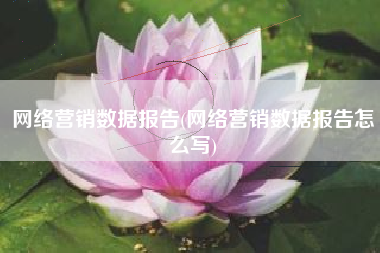 网络营销数据报告(网络营销数据报告怎么写)