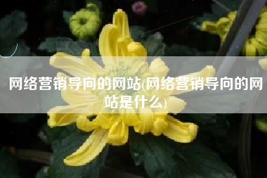 网络营销导向的网站(网络营销导向的网站是什么)