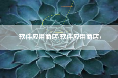软件应用商店(软件应用商店)