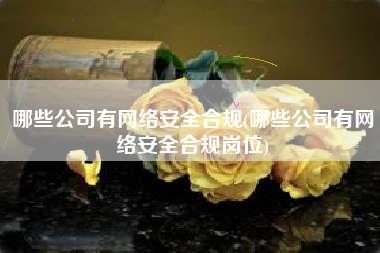 哪些公司有网络安全合规(哪些公司有网络安全合规岗位)
