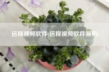 远程视频软件(远程视频软件源码)