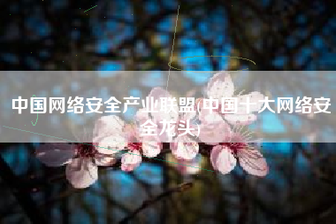 中国网络安全产业联盟(中国十大网络安全龙头)