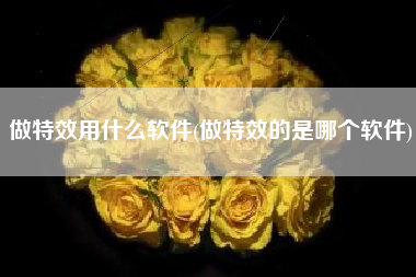 做特效用什么软件(做特效的是哪个软件)