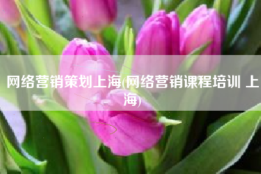 网络营销策划上海(网络营销课程培训 上海)