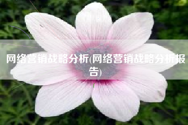网络营销战略分析(网络营销战略分析报告)