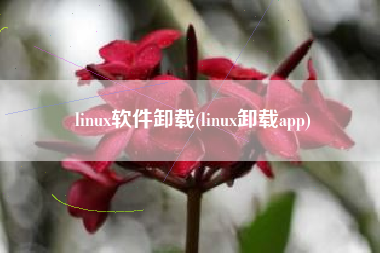 linux软件卸载(linux卸载app)