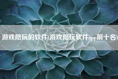游戏陪玩的软件(游戏陪玩软件app前十名)