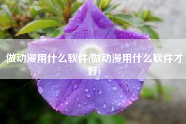 做动漫用什么软件(做动漫用什么软件才好)