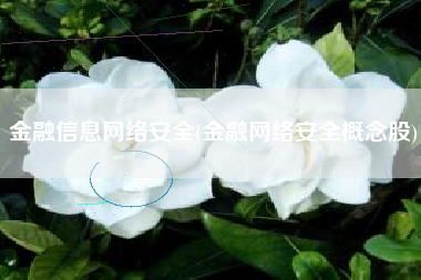 金融信息网络安全(金融网络安全概念股)