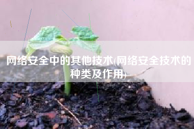 网络安全中的其他技术(网络安全技术的种类及作用)