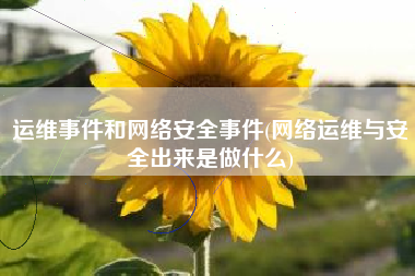 运维事件和网络安全事件(网络运维与安全出来是做什么)