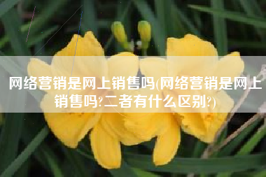 网络营销是网上销售吗(网络营销是网上销售吗?二者有什么区别?)