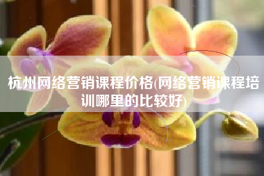 杭州网络营销课程价格(网络营销课程培训哪里的比较好)