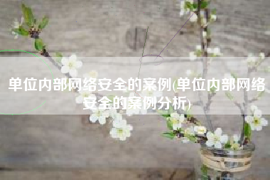 单位内部网络安全的案例(单位内部网络安全的案例分析)