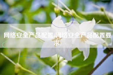 网络安全产品配置(网络安全产品配置要求)