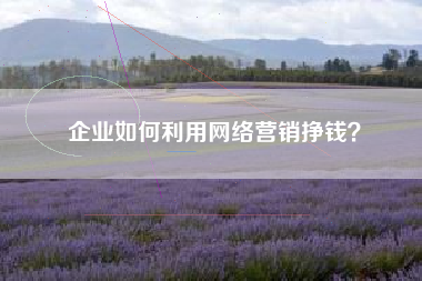企业如何利用网络营销挣钱？