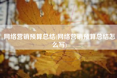 网络营销预算总结(网络营销预算总结怎么写)