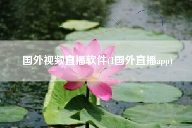 国外视频直播软件(1国外直播app)