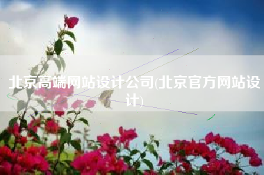 北京高端网站设计公司(北京官方网站设计)