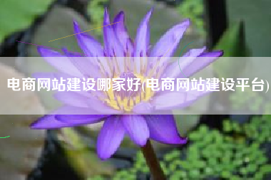 电商网站建设哪家好(电商网站建设平台)