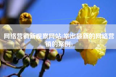 网络营销新观察网站(举出最新的网络营销的案例)