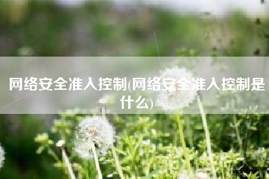 网络安全准入控制(网络安全准入控制是什么)