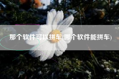 那个软件可以拼车(哪个软件能拼车)