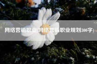 网络营销职业(网络营销职业规划300字)