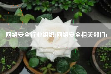 网络安全行业组织(网络安全相关部门)