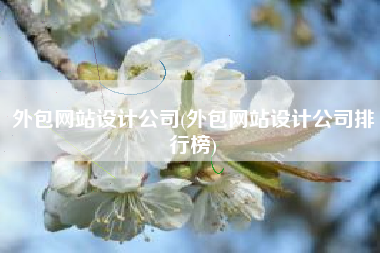 外包网站设计公司(外包网站设计公司排行榜)