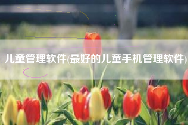 儿童管理软件(最好的儿童手机管理软件)