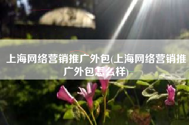 上海网络营销推广外包(上海网络营销推广外包怎么样)