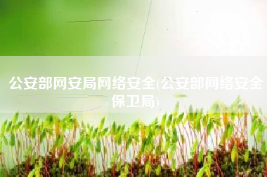公安部网安局网络安全(公安部网络安全保卫局)