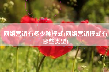 网络营销有多少种模式(网络营销模式有哪些类型)