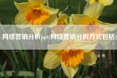 网络营销分析ppt(网络营销分析方式包括)