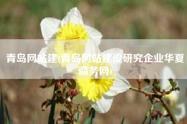 青岛网站建(青岛网站建设研究企业华夏商务网)