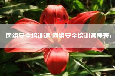 网络安全培训课(网络安全培训课程表)