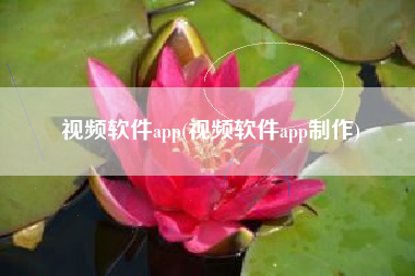视频软件app(视频软件app制作)