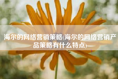 海尔的网络营销策略(海尔的网络营销产品策略有什么特点)