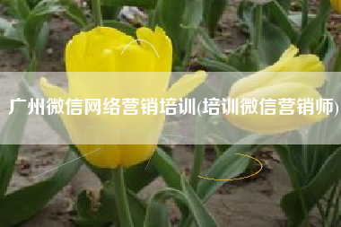 广州微信网络营销培训(培训微信营销师)