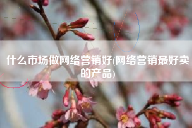 什么市场做网络营销好(网络营销最好卖的产品)