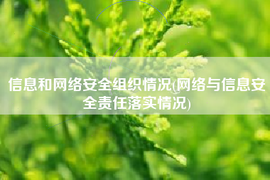 信息和网络安全组织情况(网络与信息安全责任落实情况)